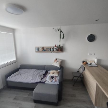 Byt Sezimovo Usti Apartment ตาบอร์ ภายนอก รูปภาพ